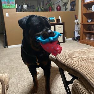 Meet your Posher, Marta